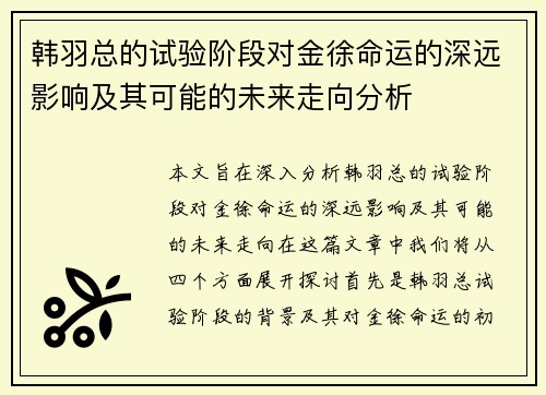 韩羽总的试验阶段对金徐命运的深远影响及其可能的未来走向分析