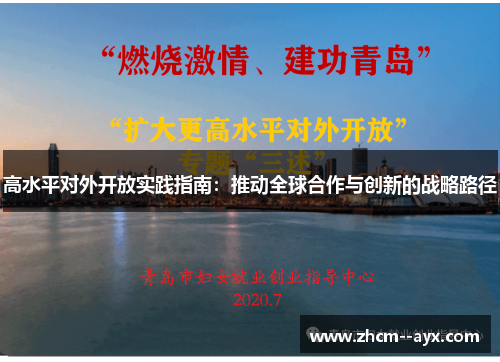 高水平对外开放实践指南：推动全球合作与创新的战略路径